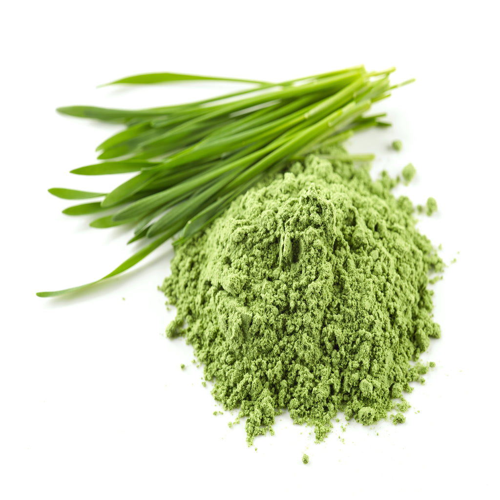 Wheatgrass Powder