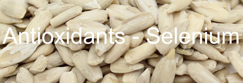Sunflower Seeds & Selenium – A Powerful Antioxidant You Can’t Be Without